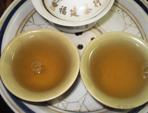 熟茶為飲，生茶為文 2010大益001批越陳越香試喝手記